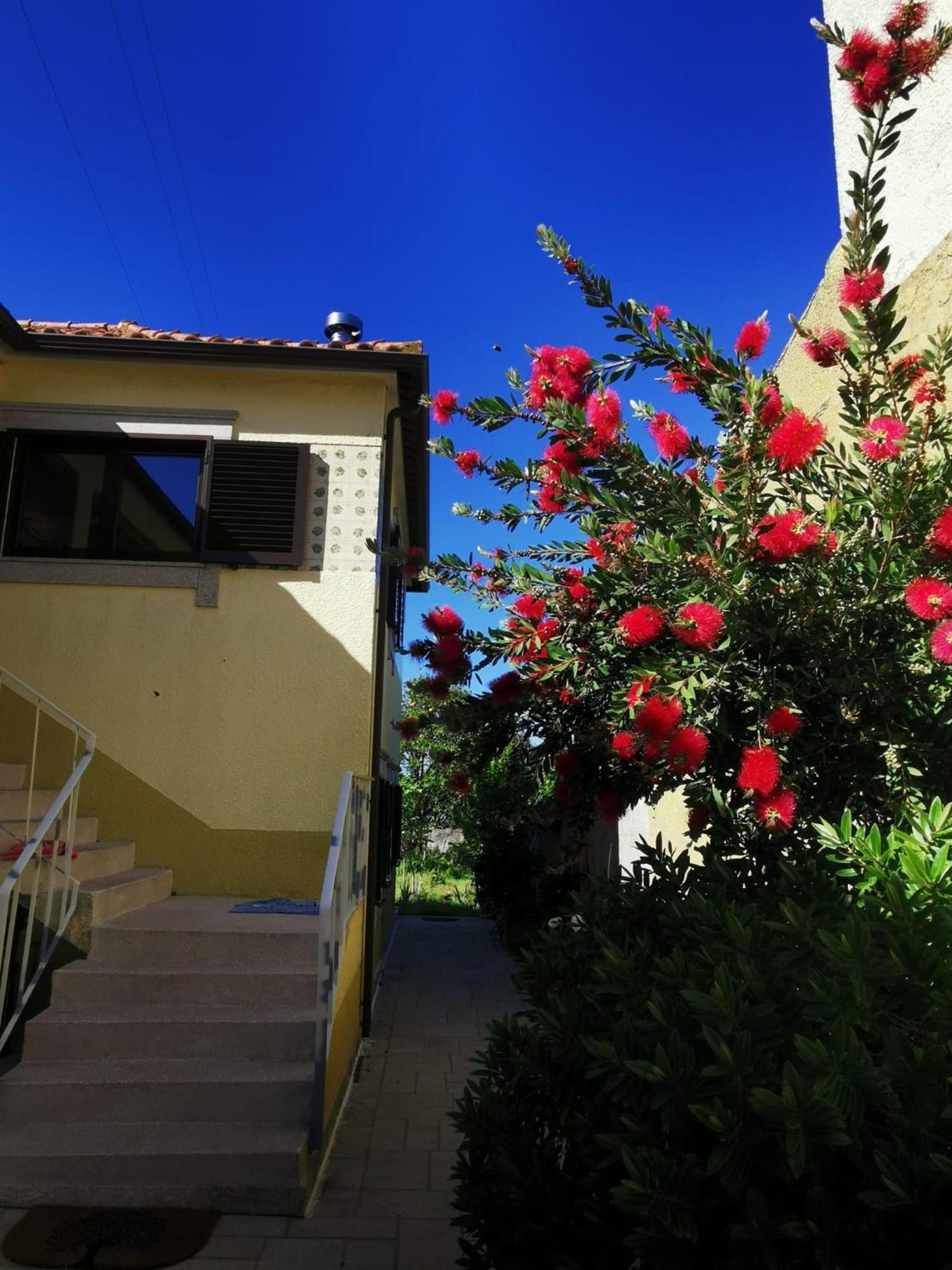 Bed and Breakfast Casa Sao Pedro Belinho Only Pilgrims Exterior foto